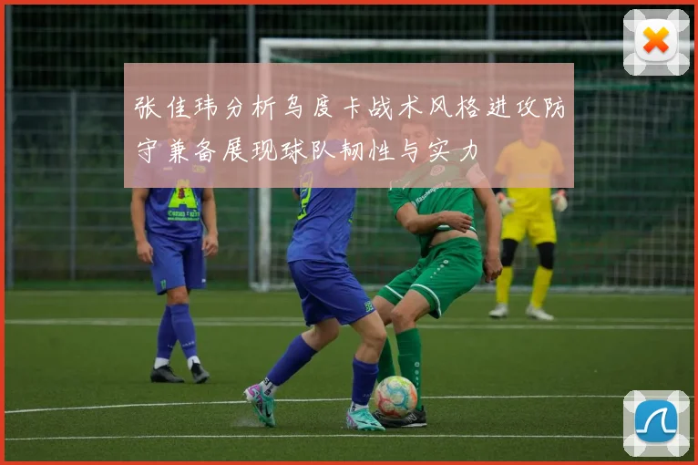 张佳玮分析乌度卡战术风格进攻防守兼备展现球队韧性与实力