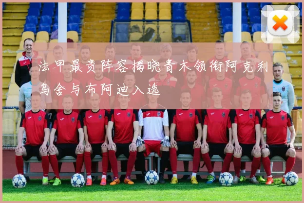 法甲最贵阵容揭晓青木领衔阿克利乌舍与布阿迪入选