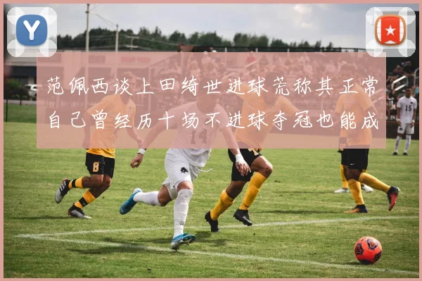 范佩西谈上田绮世进球荒称其正常自己曾经历十场不进球夺冠也能成功